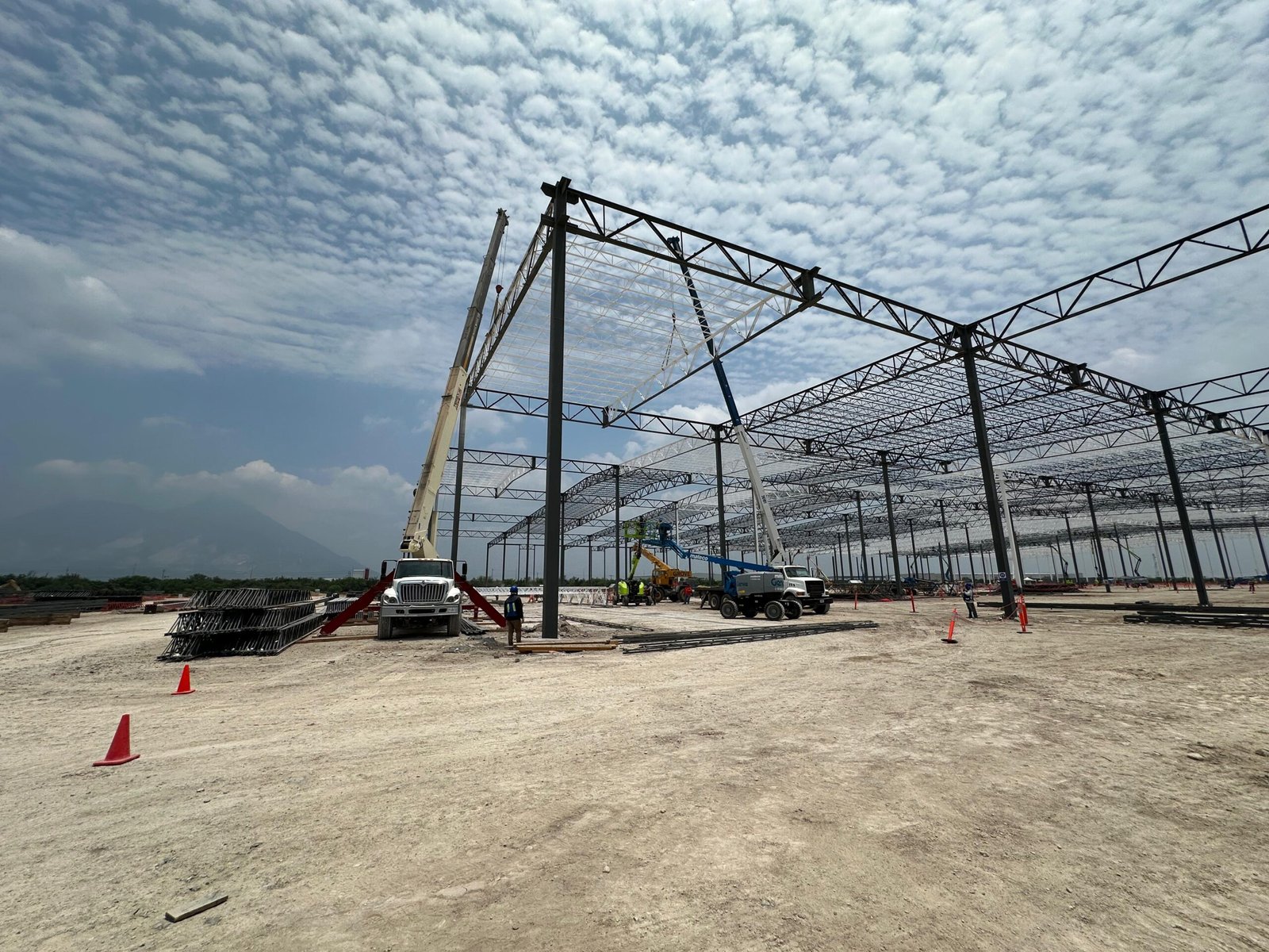 whatsapp image 2026 01 22 at 2.08.48 pm